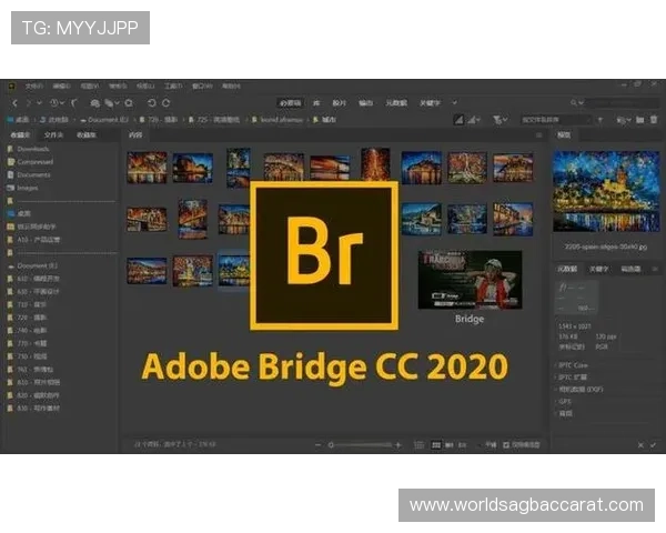 最新PA真人下載教程详细步骤帮助用户轻松实现快速安装