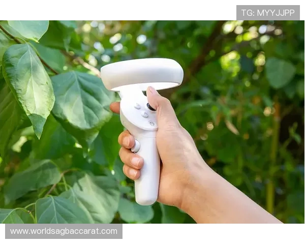 万利真人游戏网站用户评价与口碑分析真实玩家体验分享与建议